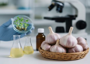 Los análisis químicos incluyeron compuestos como alicina, antioxidantes, taninos, flavonoides, fenoles y grasas totales.