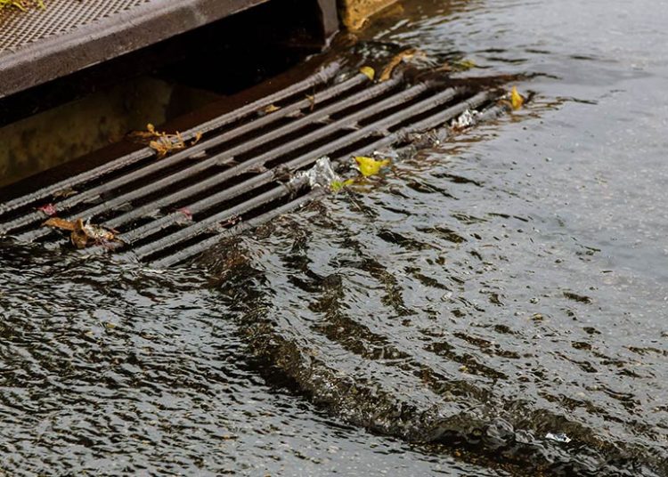 La inversión pasó de RD$7.72 millones en 2023 a apenas RD$2.54 millones el año pasado.