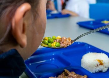 Invertir en la nutrición infantil es fundamental para la formación de capital humano.