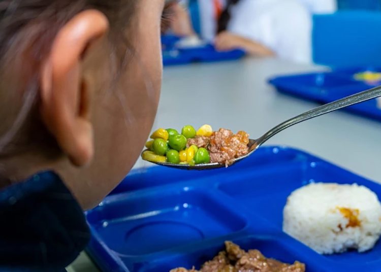 Invertir en la nutrición infantil es fundamental para la formación de capital humano.