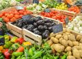 La provincia Santo Domingo y el Distrito Nacional presentan actividad agropecuaria variada, aunque con niveles de desarrollo distintos.