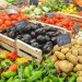 La provincia Santo Domingo y el Distrito Nacional presentan actividad agropecuaria variada, aunque con niveles de desarrollo distintos.