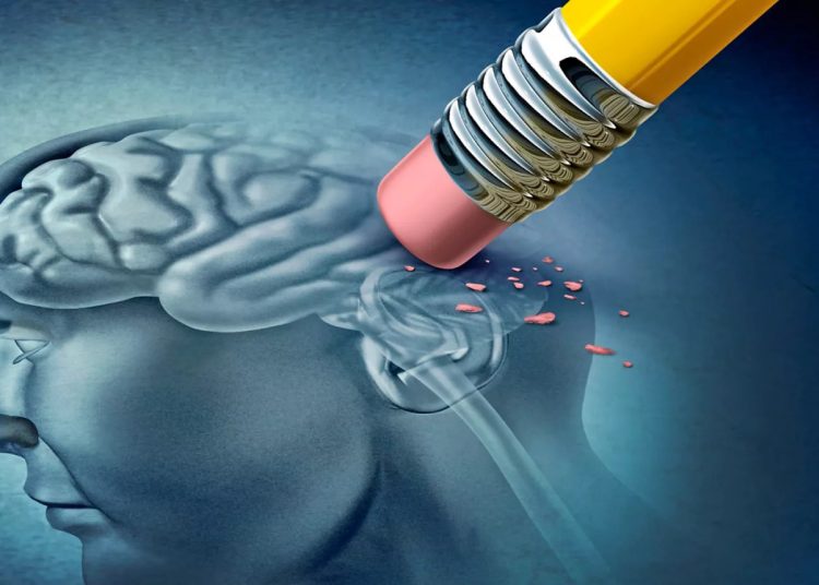 La acumulación de la proteína Tau en las neuronas en forma de ovillos neurofibrilares es uno de los aspectos más característicos de la enfermedad de Alzheimer - Fuente externa.