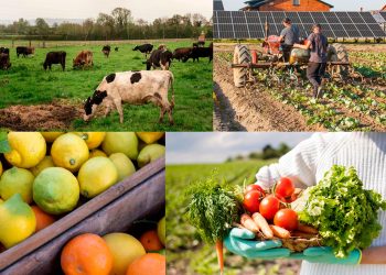 La producción interna de alimentos es de importancia vital para la mayoría de países del mundo.