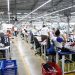 La región este contabilizó 23,025 trabajadores en zonas francas, distribuidos entre 10,514 hombres y 12,511 mujeres.