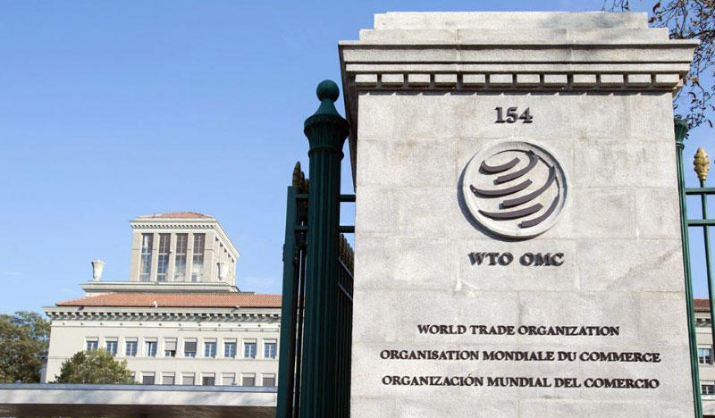 La Organización Mundial del Comercio (OMC) cuenta con 161 miembros. Su fundación fue en 1995. | Fuente externa