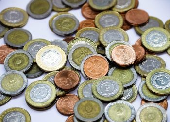 Pesos argentinos, Argentina