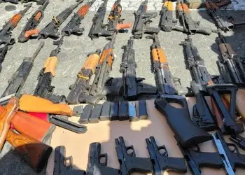 La detección del contrabando fue posible por el uso de los escáneres de rayos x, los cuales visualizaron las armas con precisión. 