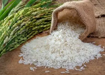 República Dominicana mantiene niveles de producción que le permiten ser autosuficiente en arroz.