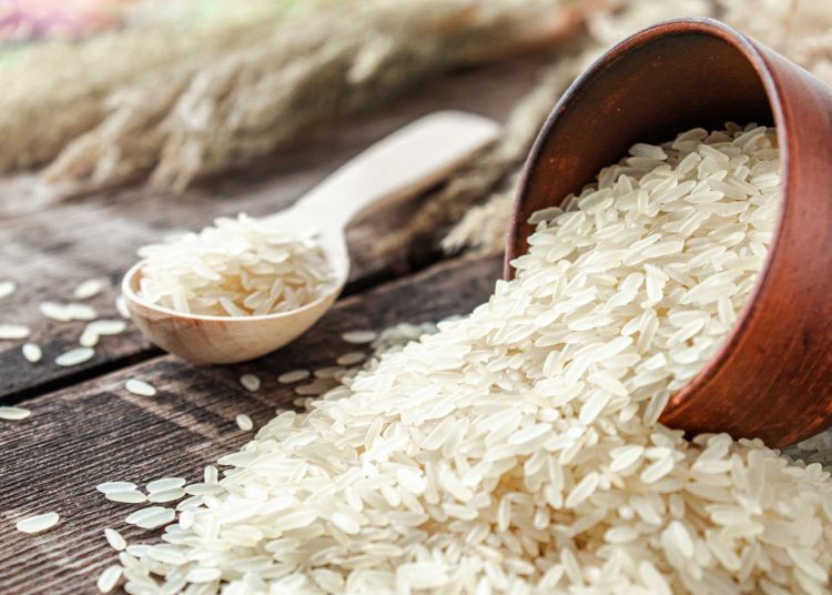 El arroz es considerado uno de los cultivos más seguros y rentables en República Dominicana.