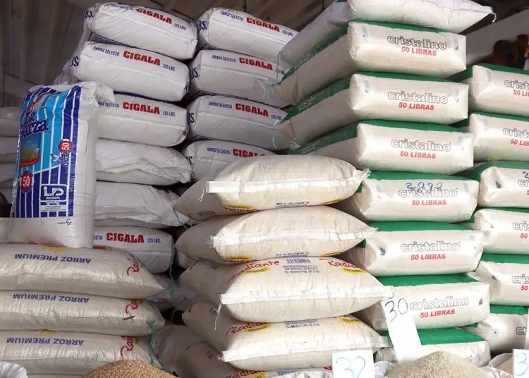 La producción de arroz promedia los 14 millones de quintales, con una baja en 2024 por los efectos del clima.