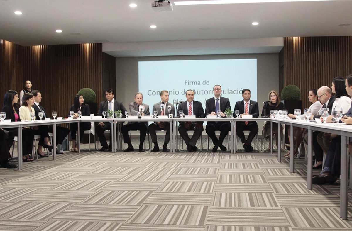 autorregulacion plasticos aird