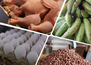 En 2023, la autosuficiencia alimentaria volvió a aumentar, alcanzando el 88.7%, de acuerdo con Agricultura.