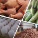En 2023, la autosuficiencia alimentaria volvió a aumentar, alcanzando el 88.7%, de acuerdo con Agricultura.