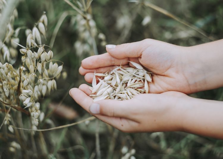 Está previsto que lleguen a destino "a finales de noviembre o principios de diciembre". | Fuente externa.