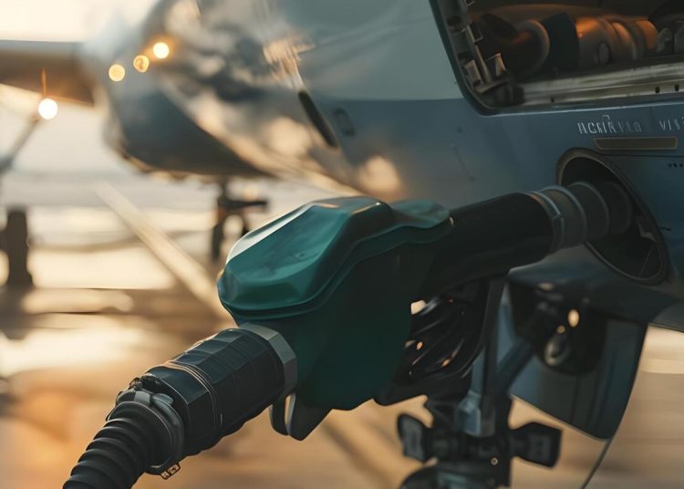 “Esa exención nos haría atractivos y competitivos en carga aérea”, subrayó el director de Carga del Aeropuerto de Punta Cana.