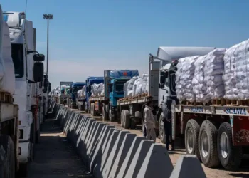 Indica que desde el principio de la guerra, Israel ha garantizado el flujo constante e ilimitado de ayuda hacia Gaza.