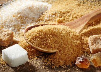 Durante el período 2014-2023, el subsector de la elaboración de azúcar fue el mayor generador de empleos formales en la manufactura local, con un pico en 2017 cuando se generaron 14,699 empleos, reflejando un crecimiento interanual del 23.5%.