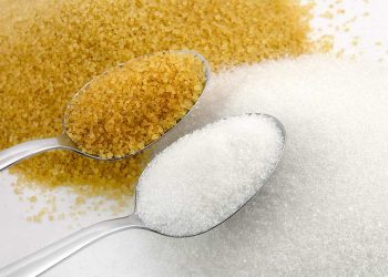 Según datos de la Tesorería de la Seguridad Social (TSS), la cifra actual de empleos se encuentra por debajo de los niveles registrados en 2019, cuando se contabilizaban aproximadamente 12,617 trabajadores formales.