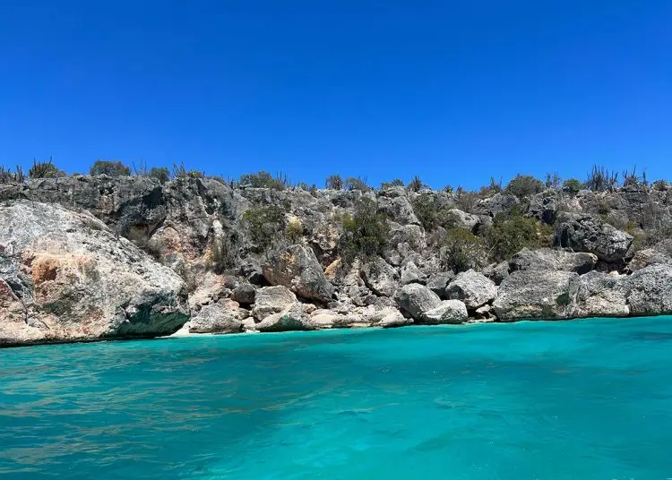 La región Sur se posiciona con apenas 4.43% del total de la cartera de captaciones de ahorro, al cierre de 2024.