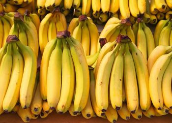 Bananos. - Fuente externa.