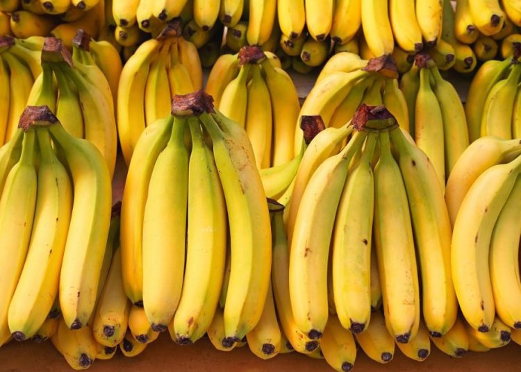Bananos. - Fuente externa.