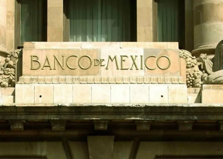 La agencia explicó que "la rentabilidad también se debilitará a medida que los márgenes se reduzcan en un entorno competitivo para el financiamiento y el crédito al consumo".