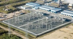 barrick-planta