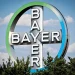 Bayer aseguró en marzo que quería reducir en torno a un 40% los alrededor de 17,000 mandos con los que contaba.