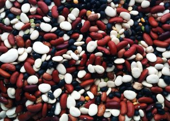 Frijoles, legumbres