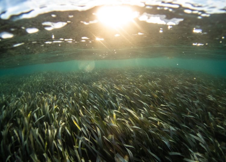 benjamin-l-jones-6ANUXhRzUH8-unsplash