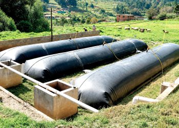 El aprovechamiento de residuos mediante biodigestores puede reducir el uso de combustibles y fertilizantes químicos.