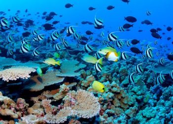 El programa de la Usaid tendrá una duración de cinco años y trabajará con comunidades locales y el sector privado para identificar áreas prioritarias e iniciativas de economía azul.