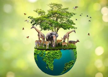 Lacy mencionó que el ser humano no solo ha invadido el hábitat de los animales silvestres sino que los come y se aprovecha de ellos. - Fuente externa.