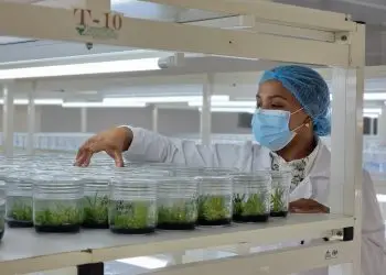 En la actualidad, Biovega ha recibido desde Italia 63 variedades de frutales.