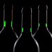 Botellas de vino. | Holger Detje, Pixabay.