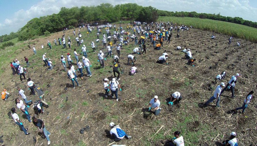 La siembra de mangalares se realiza en conjunto con varias entidades, comprometidas con la preservación de la biodiversidad.