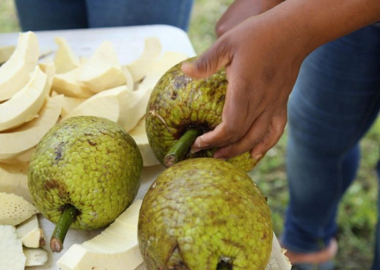 Osmar C. Benítez indica que el Congreso y Festival reunirán a más de 300 productores, comercializadores, exportadores y expertos internacionales.