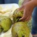 Osmar C. Benítez indica que el Congreso y Festival reunirán a más de 300 productores, comercializadores, exportadores y expertos internacionales.