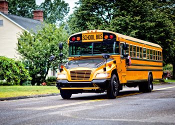 La inversión estatal de más de mil millones de dólares en los próximos cinco años para ir cambiando la flota de camiones. - Fuente externa.