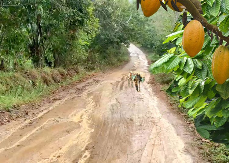 Alrededor del 70% de lo que se produce en el municipio pasa por este tramo carretero.