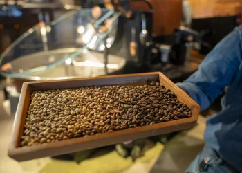 Incluso con el arancel, en el acumulado de enero-noviembre EE.UU. se mantuvo como el principal importador de café brasileño.