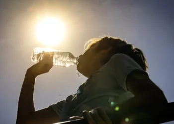 El estudio publicado conjuntamente con el Gobierno de Brasil, anfitrión de la actual Cumbre del Clima COP30 en Belém.