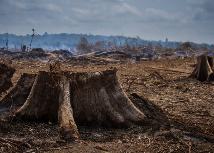 La alianza se inscribe dentro del proyecto Acelerador de Portafolio de Proyectos de Adaptación. Fuente externa.