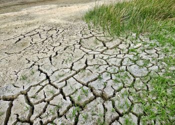 Las temperaturas más elevadas reducen la productividad y las horas trabajadas por los trabajadores. | Fuente externa.