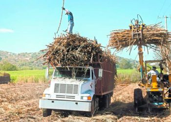 El Central Romana dispone del 62.84% de la cuota de azúcar establecida para la República Dominicana para el mercado preferencial estadounidense.