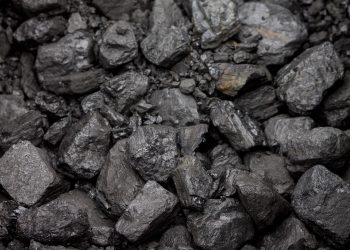 En China, el aumento fue del 4.6% en 2022 y en India del 6.9%. | Fuente externa.