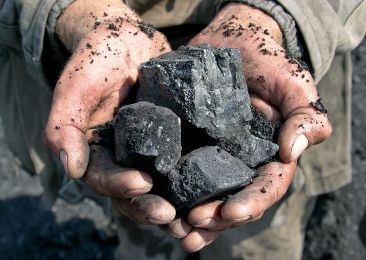 El PNUMA reveló estos datos en la nueva edición del Informe de la Brecha de Producción. | Fuente externa.