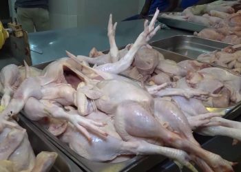 El dirigente Apolinar Leyba hijo advirtió que algunos sectores promueven falsa percepción de escasez de la carne de pollo.