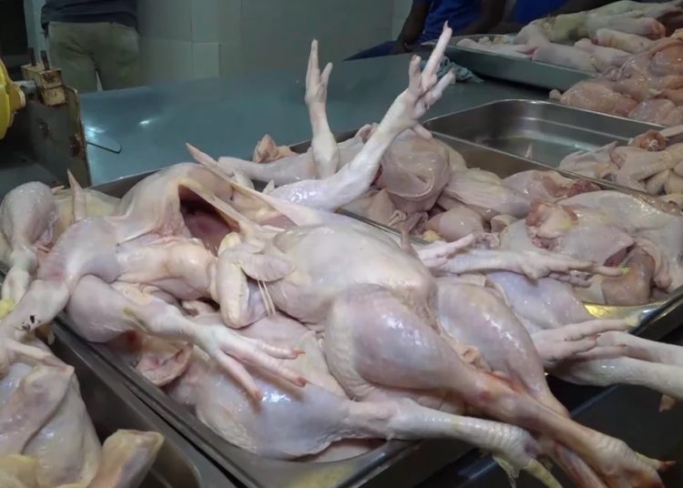 El dirigente Apolinar Leyba hijo advirtió que algunos sectores promueven falsa percepción de escasez de la carne de pollo.